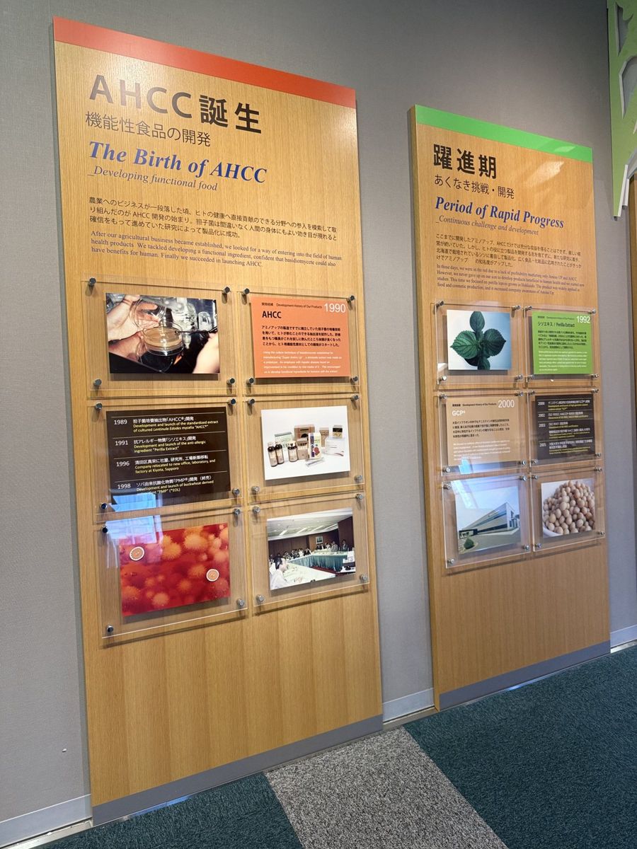 40年分の、試行錯誤。