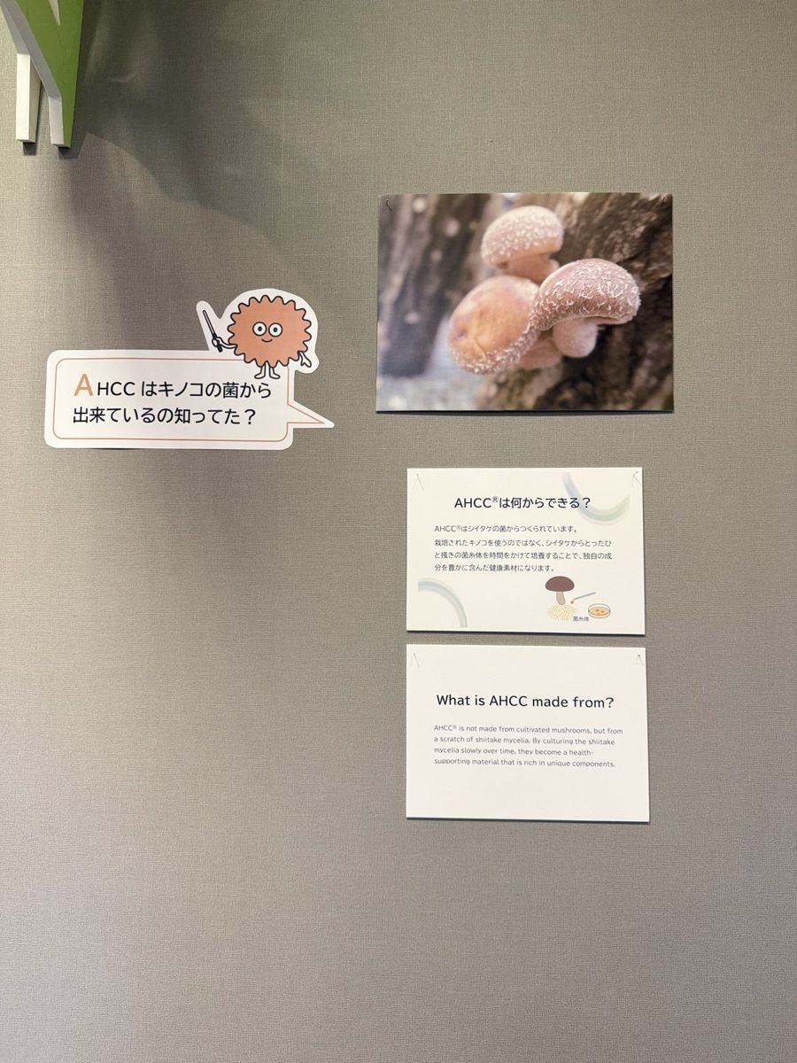 AHCCは、キノコからできている。